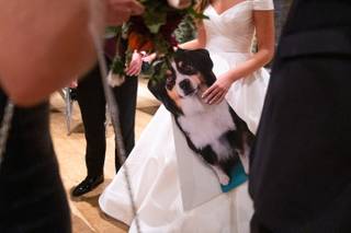 Amelia's Signature Events - 4