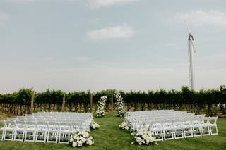 Tin Sparrow Events - 9