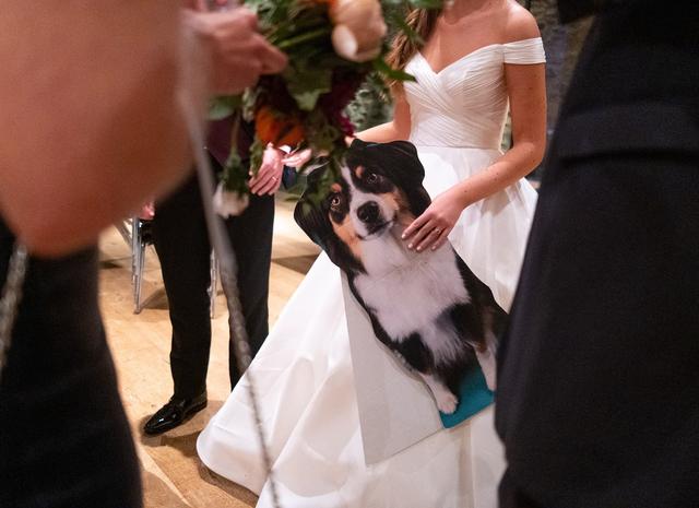 Amelia's Signature Events - 1