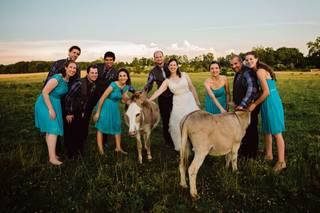 East Lynn Farm - 17