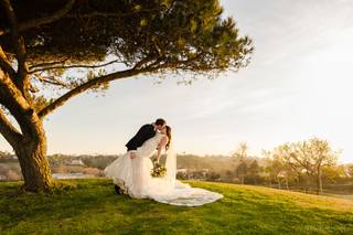 Magical Harps by Amy Lynn Kanner - 8