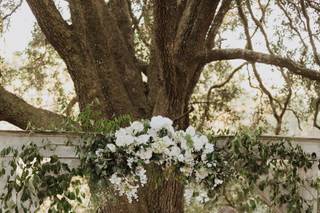 Live Oak Plantation - 6