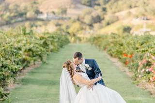 Kirigin Cellars - 6
