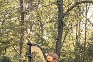 Professional Harpist - 7