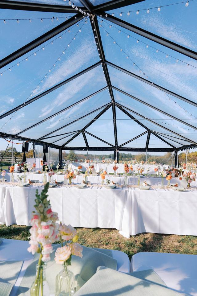 Sara Judith Events - 4