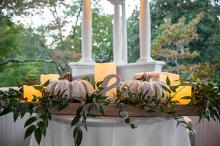 Cassie Leigh Photography - 22