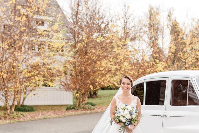 Action Limousine 5