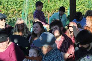 Jacquot Vineyard - 19