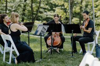 Grand Rapids String Quartet - 1