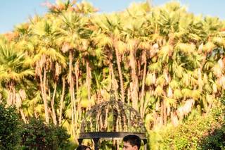 Bells & Whistles Photography + Videography - 22