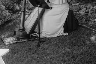 Beverly Arnold, Harpist - 11