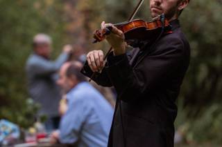 Nick Kennerly Violin - 6