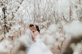 Alicia Lucia Photography - 130