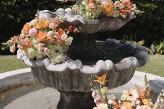 Taylor Nicole Events - 7