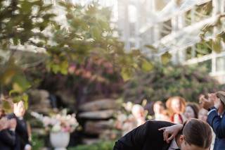Steven Dray Photography - 15