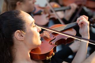 Organic String Quartet - 9