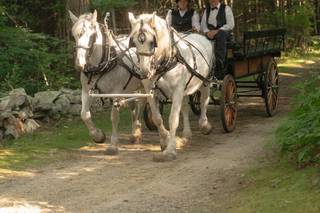 Wrights Mill Farm - 7