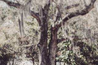 Dia Mia Weddings & Events - 15
