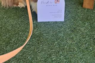 I Dog Too - Wedding Pet Attendant - 14
