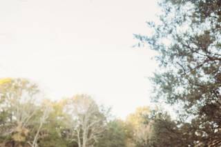 The Everlasting Pond - 8