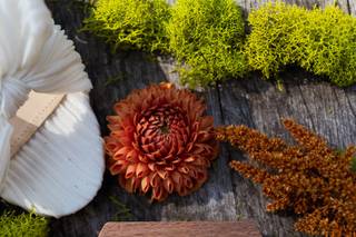 Caswell Farm & Wedding Barn - 6