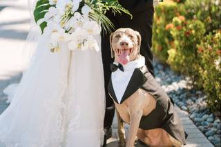 Laura Detwiler Events - 13