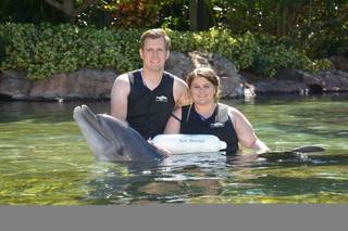 Discovery Cove, Orlando - 44