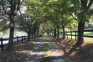 Chanteclaire Farm - 16