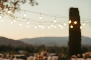 Alyssa Bray Events - 50