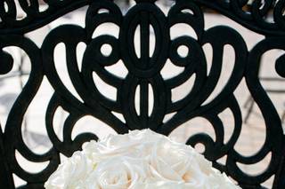 David E. Starke Photography - 6