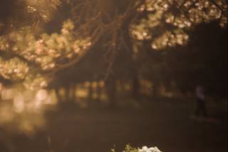 Mrs. Planner - 11