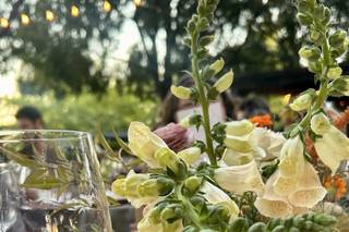Showrunner Events - 8