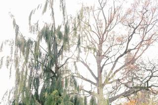 Jenifer Santo Photography - 22