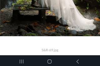 Blue Butterfly Events - 31