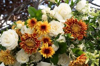 Petal Pushers - 18