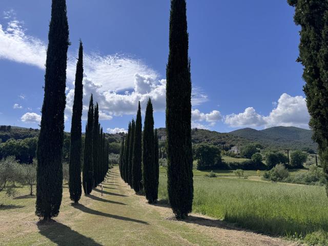 Relais La Tenuta Del Gallo - 1