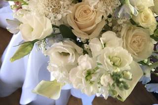 Danielson Flowers - 72