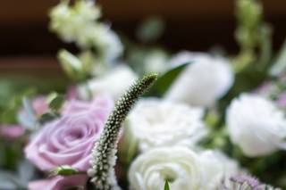 Colonial Florist - 26