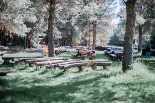 Weddings at Schnepf Farms - 142