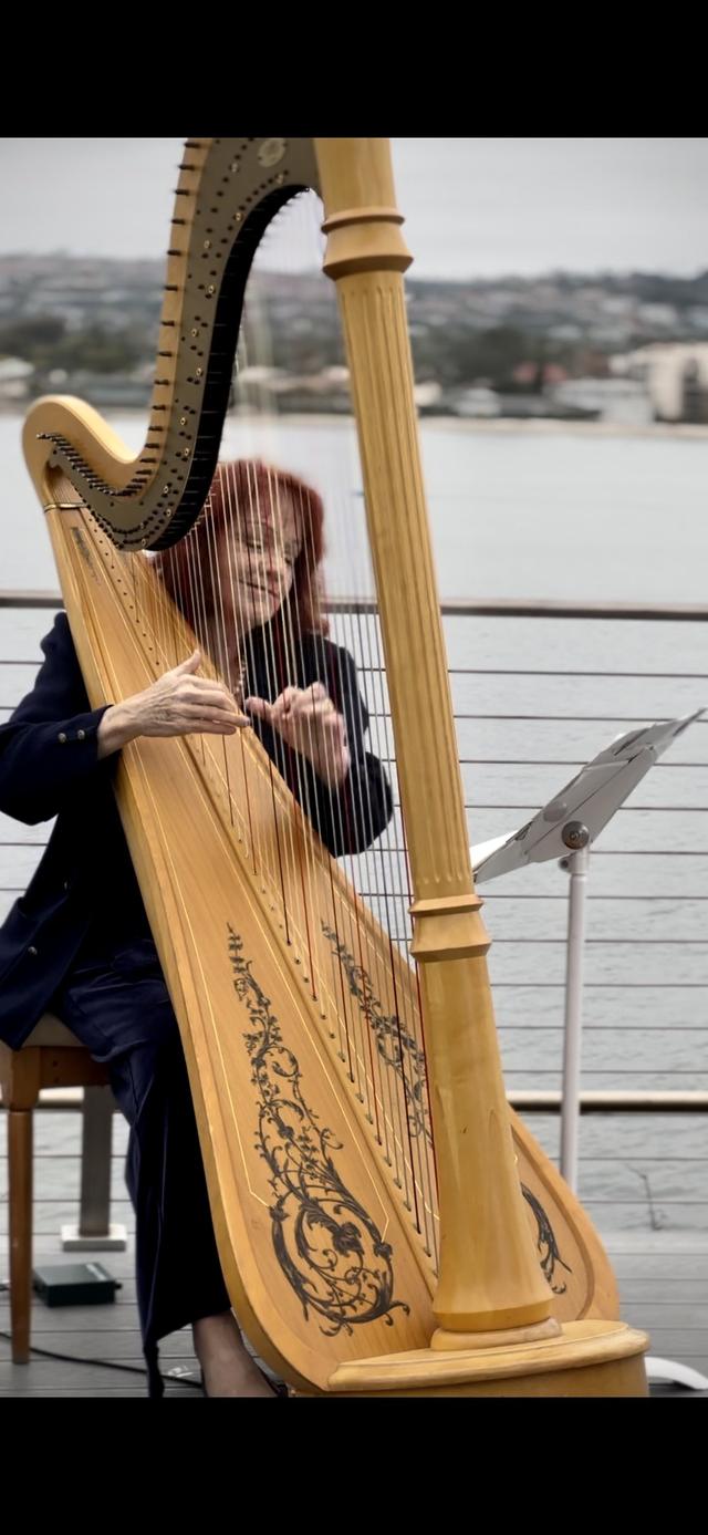 Harpist Naomi Alter - 2