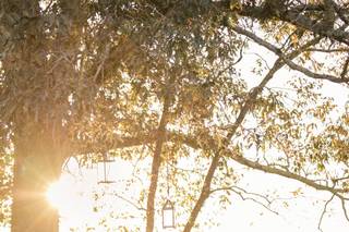 Five Fourteen Photography - 31