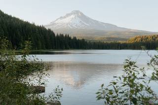Andrew Alexander Photography - 1