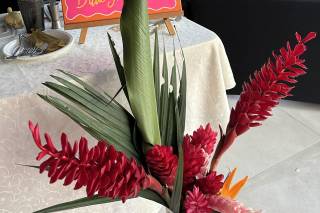 Alma Viva Event Rentals - 6