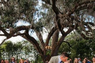 White Rabbit Events - 10