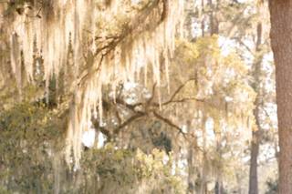 Abernathy Entertainment - 6