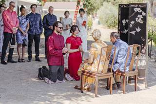 Vega Vineyard & Farm - 14