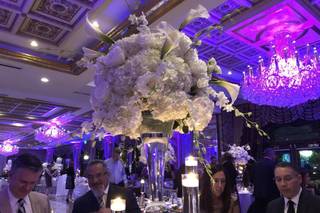 Adam Leffel Productions - 25