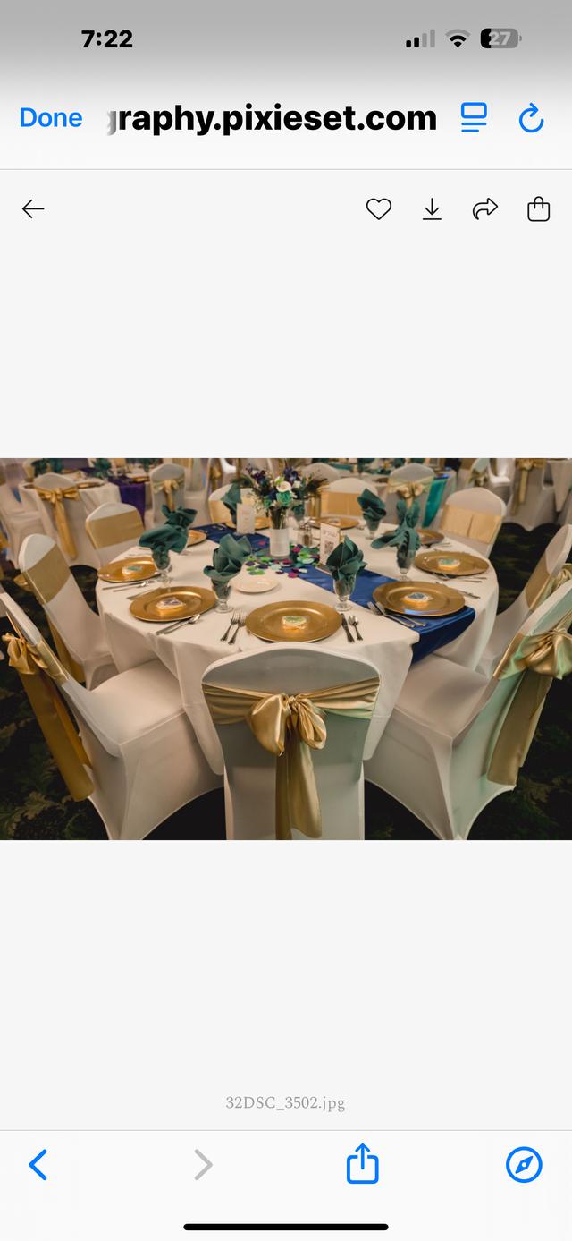 Sittin' Pretty Chair Covers, LLC - 2