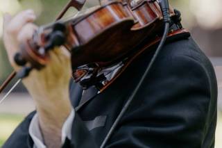 Nick Kennerly Violin - 7