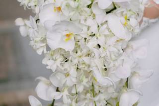 Designing Images Florist - 10